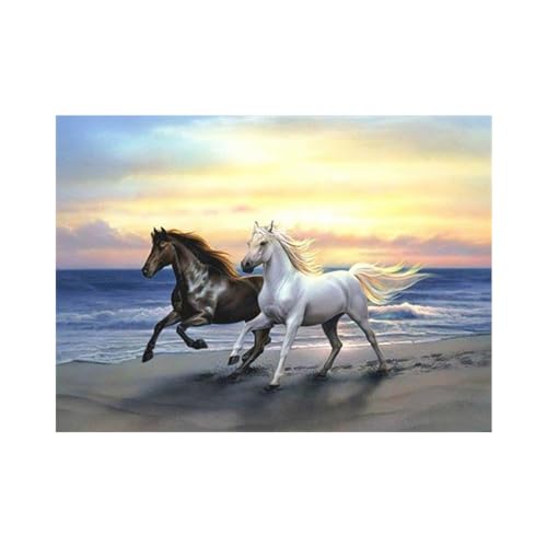 Pracht Hobby Set de Pintura con Diamantes, Cuadro con... - Jouets & Jeux en promo à 9.02€