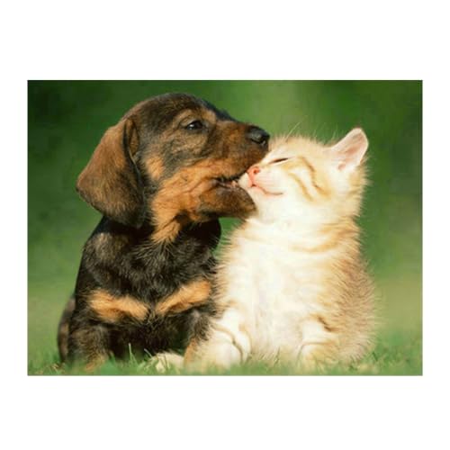 Pracht Creatives Hobby Diamond Painting Set, Bild mit Motiv... - Jouets & Jeux Amazon Allemagne à 6.76€