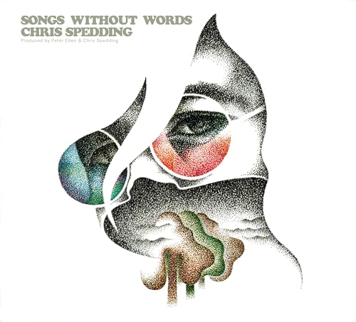 Songs Without Words en promo à 11,87€ (-51%) sur Amazon FR