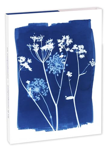 Clairefontaine 83507C - Correspondence Set of 8 AST 11x15.5... - Auto & Moto Amazon Royaume-Uni à 5.24€