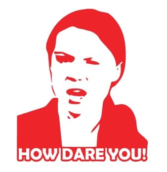 Adesivo da taglio in vinile How Dare You? Greta sticker... - Auto & Moto Amazon Italie à 2.90€