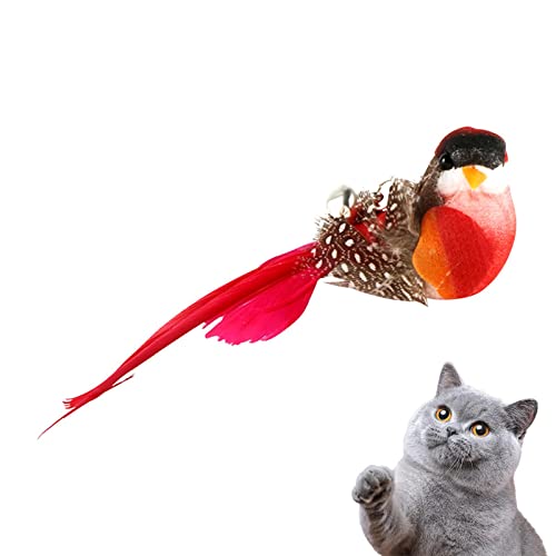 Xujuika Juguete Pluma De Gato Interactivo, Juguete De... - Animalerie Amazon Espagne à 1.39€