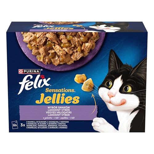 Purina Felix Sensations Katzenfutter Türkei Lamm 12 x 85 g - Animalerie Amazon Allemagne à 4.20€