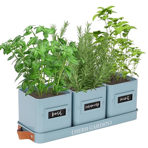PERFNIQUE Kräutergarten für den Innenbereich... - Garden & Outdoor Amazon Germany à 27.40€