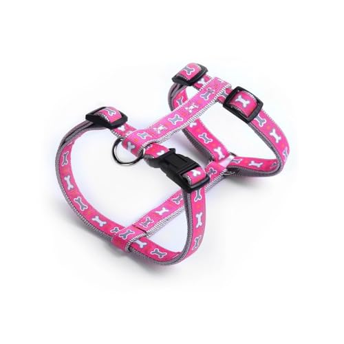 Record - Ossicini Arnés para Perros – Fabricado en Nailon... - Beauty & Fragrances Amazon Spain à 10.17€