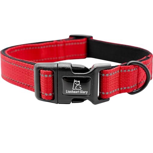 Lionheart glory Dog Collar Reflective Dog Collars Female... - Animalerie Amazon Royaume-Uni à 1.68€
