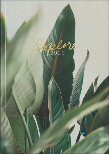rido/idé Buchkalender Young Line (2025) „Explore“, 2 Seiten... - Fournitures Bureau Amazon Allemagne à 4.73€
