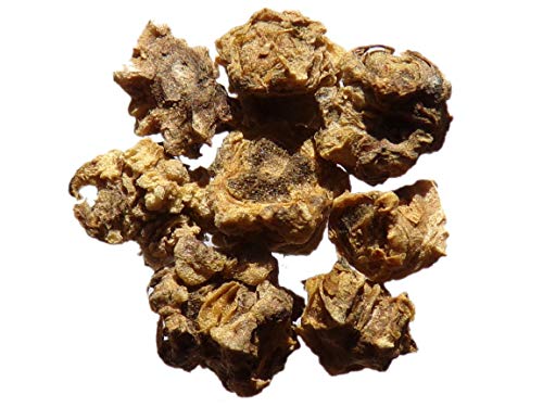 Betterave Fourragère Géante Rouge - 3 grammes - Beta... - High-Tech & Électronique Amazon France à 2.00€