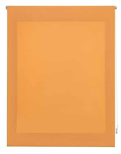 INTERBLIND Premium Rollo, durchscheinend, glatt, 140 x 250... - Maison & Cuisine Amazon Allemagne à 23.55€