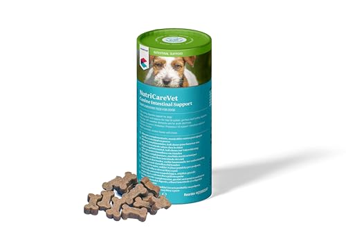NUTRICAREVET Gastro 60CHEWS Perro COVETRUS - Auto & Moto Amazon Espagne à 9.26€