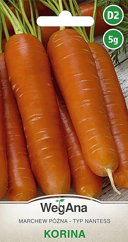 WegAna Nantess Semillas de Zanahoria 5g, Alrededor de 4500... - Amazon Espagne à 2.50€