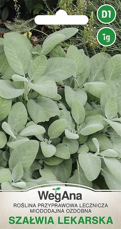 WegAna Semillas de Salvia 1g, Semillas de Hierbas Semillas... - Jardin & Extérieur Amazon Espagne à 2.50€
