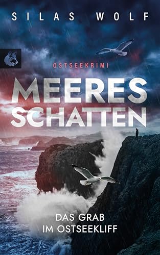 Meeresschatten - Das Grab im Ostseekliff: Küstenkrimi... - Vente Flash Amazon -67%