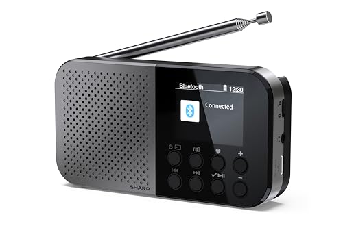 SHARP DR-P520(GY) Osaka Pocket Digital Radio, Dab+, Dab and... - High-Tech & Électronique en promo à 58.42€