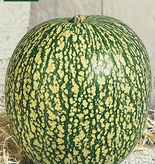 Peyca Semillas Horticolas - Calabaza cabello de angel... - Auto & Moto Amazon Espagne à 2.50€