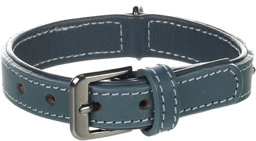 Flamingo Collar Denver + ACCESSORIOS Azul S 25-31CM 22MM - Animalerie Amazon Espagne à 9.55€