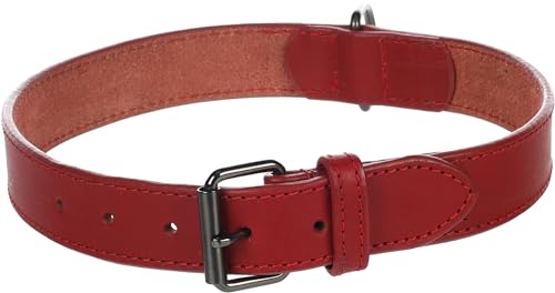Collier Denver Rouge XXL 52-62CM 30MM - Animalerie Amazon France à 18.94€
