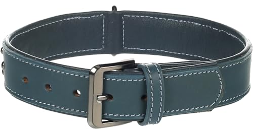 Flamingo Collar Denver + ACCESSORIOS Azul L 41-50CM 35MM - Animalerie Amazon Espagne à 8.83€
