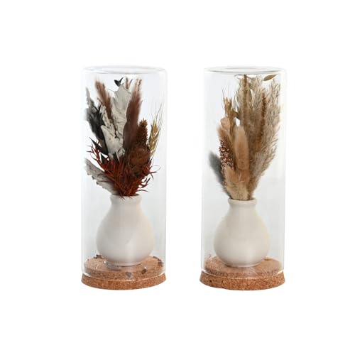 DECORACION FLOR SECA CRISTAL 8,5X8,5X20 2 SURT. - Amazon Italy à 17.16€