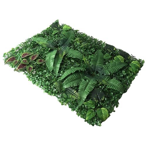 BROLEO Fondo de Pared Verde, PE, Fácil de Cortar, Panel de... - Jardin & Extérieur Amazon Espagne à 3.81€