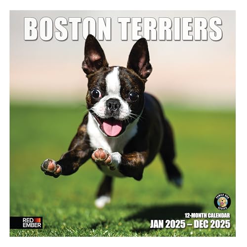 RED EMBER Boston Terriers 2025 Wall Calendar 12 Month | 12"... - Maison & Cuisine Amazon Royaume-Uni à 0.64€