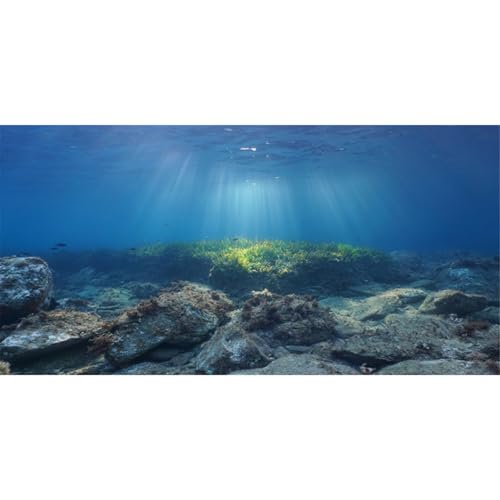 MIRRORANG 76x30cm Fondo de Acuario Peces submarinos Tanque... - Maison & Cuisine en promo à 11.59€