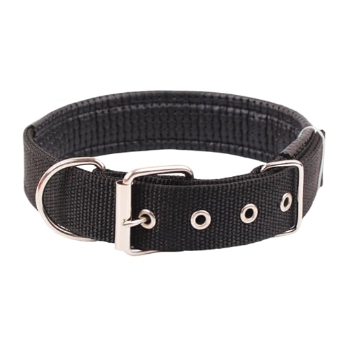 kiskick Accesorio de larga duración para mascotas, cómodo... - Sports & Fitness Amazon Espagne à 0.65€