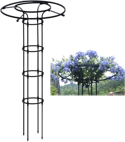 LKUOU Parapluie obélisque Jardin Escalade Plante... - Jardin & Extérieur Amazon France à 12.64€