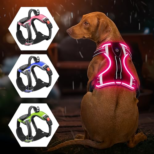 Arnés luminoso para perros – sin tirones, LED recargable... - Auto & Moto Amazon Espagne à 22.48€