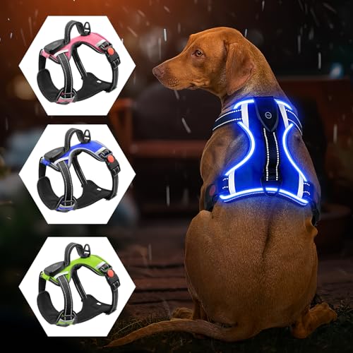Arnés luminoso para perros – sin tirones, LED recargable... - Auto & Moto Amazon Espagne à 22.48€