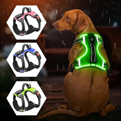 Arnés luminoso para perros – sin tirones, LED recargable... - Auto & Moto Amazon Espagne à 22.48€