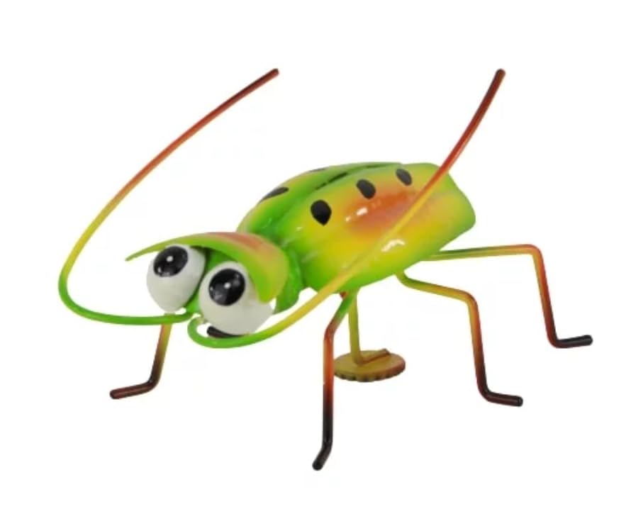 Holzwurm Dekofigur Käfer Biene Katze Maus Schnecke Kuh Eule... - Jardin & Extérieur Amazon Allemagne à 2.00€