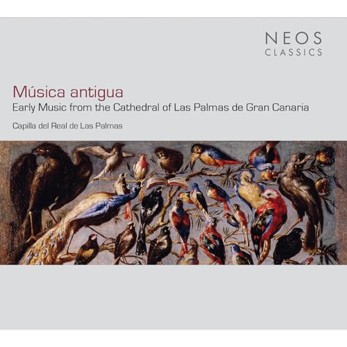 Musica antigua - Early Music from the Cathedral of Las... - Pet Supplies Amazon Italy à 14.43€