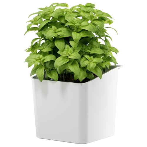 tesa Kräutertopf – zum Kleben, hängender Pflanzentopf für... - Maison & Cuisine en promo à 8.10€