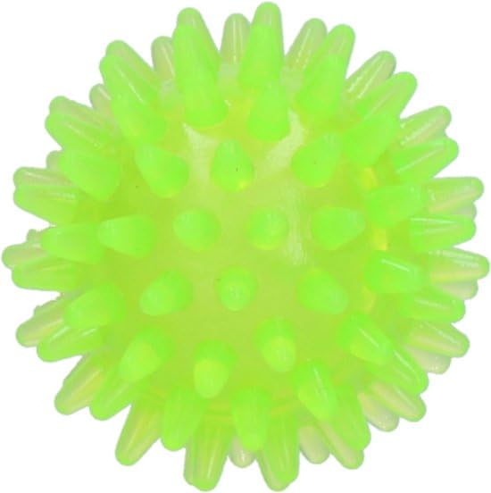 Perro Cometas Exoplaneta Egelbal S Groen - Sports & Fitness Amazon Espagne à 5.20€