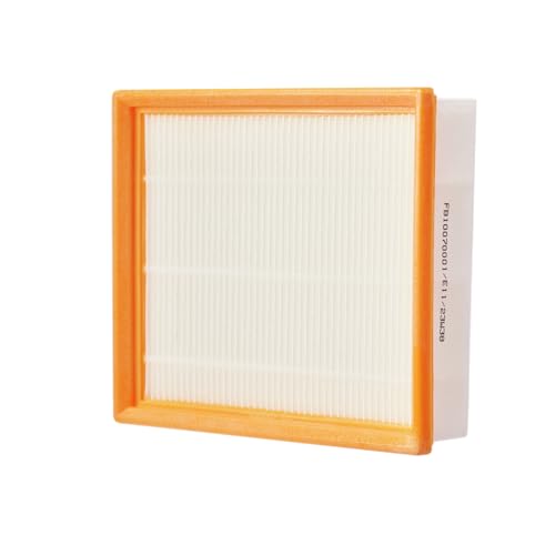 EGO AVF0900 - Filtro de repuesto para aspiradora Power+... - Tech & Electronics Amazon Spain à 59.82€