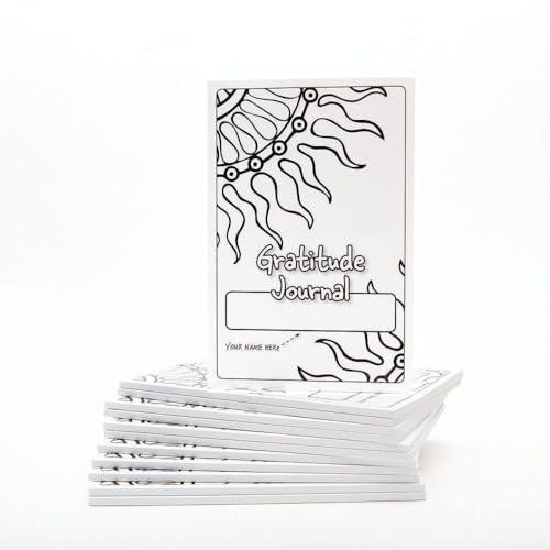 S&S Worldwide Diario de gratitud para adolescentes de 6 x 9... - Livres & eBooks en promo à 33.33€