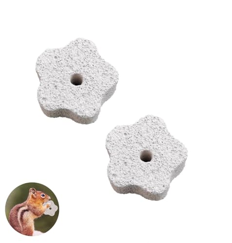 Pierre à griller les dents pour animaux de compagnie, petit... en promo à 1,59€ (-72%) sur Amazon FR