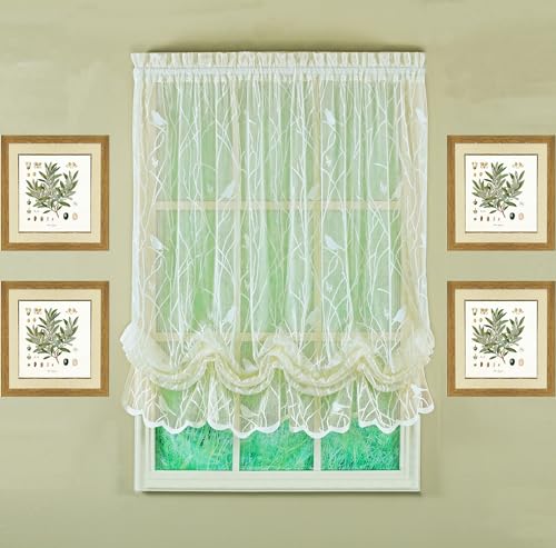Today's Curtain, Songbird Semi-Sheer Lace Balloon Shade... - Sports & Fitness Amazon Royaume-Uni à 9.00€