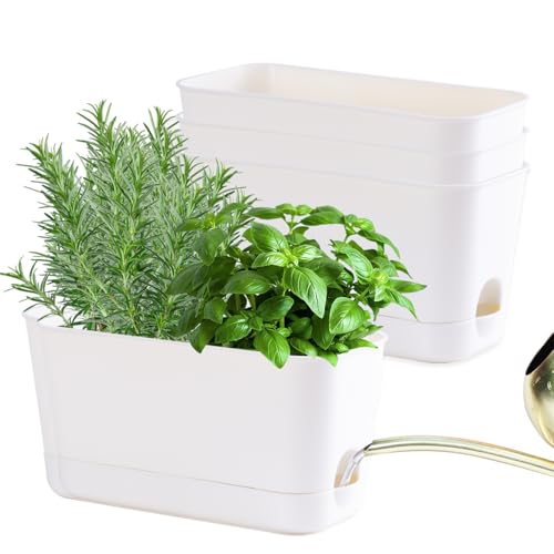 Oliz Herb Garden Planter Kit Self Watering Pots for... - Garden & Outdoor Amazon UK à 15.74€