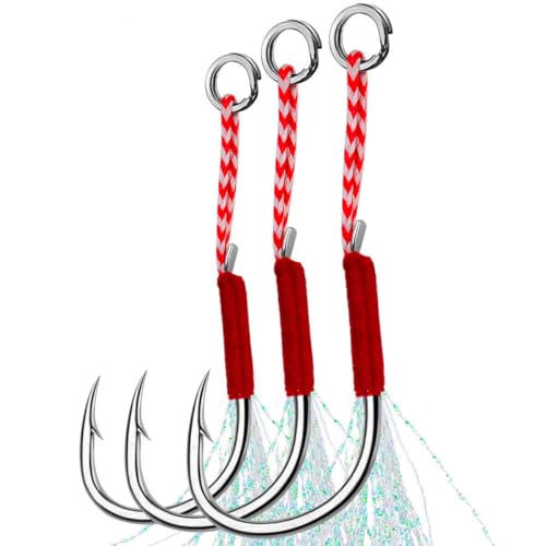 10 ganci di assistenza in acqua salata per esche verticali... - Sports & Fitness Amazon Italie à 2.41€