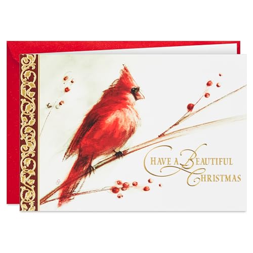 Hallmark Boxed Christmas Cards, Painted Cardinal (40 Cards... - Auto & Moto Amazon Royaume-Uni à 5.14€