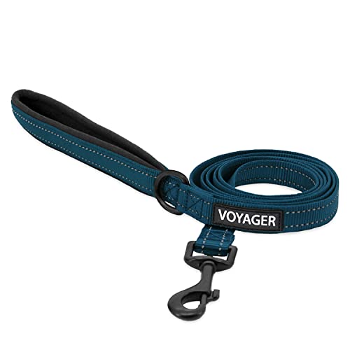 Voyager Reflective Dog Leash with Neoprene Handle, 6ft... - Sports & Fitness en promo à 6.08€