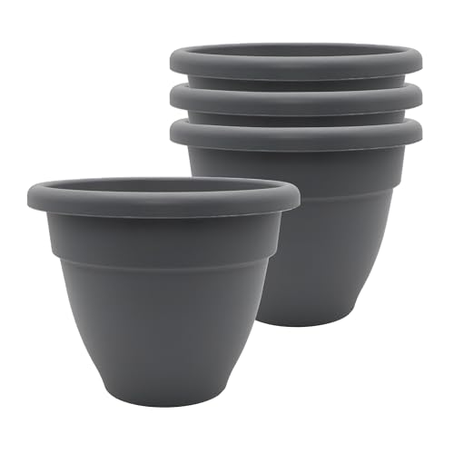 The HC Companies planters, Warm Gray, 6" (Pack of 4) - Jardin & Extérieur Amazon Royaume-Uni à 6.36€