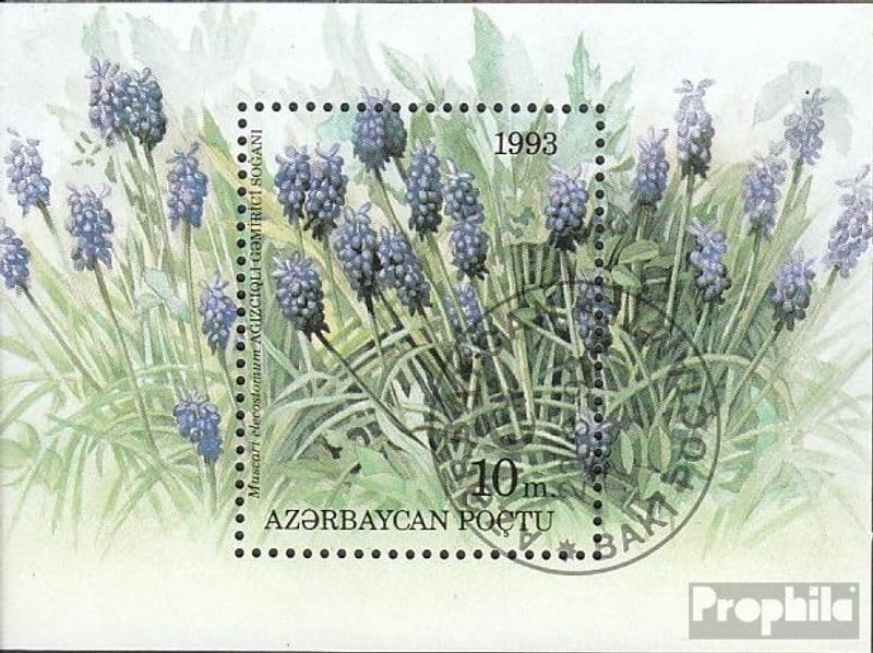 Prophila Collection Aserbaidschan Blocco 2 (Completa... - Livres & eBooks Amazon Italie à 0.98€