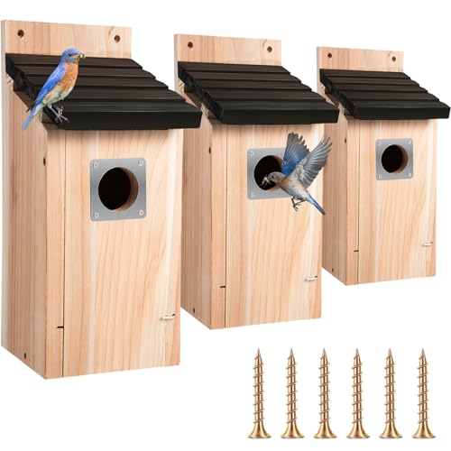 Dreyoo Lot de 3 nichoirs en bois de cèdre Bluebird pour... - Jardin & Extérieur Amazon France à 60.67€