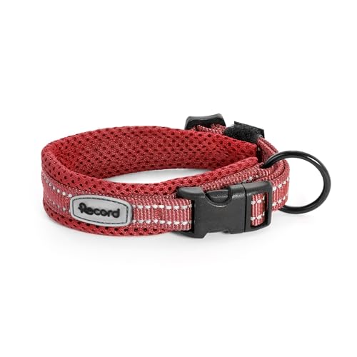 Record - Ande Dog Collar - Made of Durable Nylon... - Animalerie Amazon Royaume-Uni à 5.26€