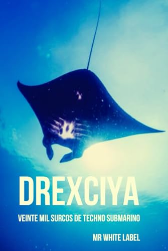 Drexciya: Veinte mil surcos de techno submarino (Iconos del... - Amazon Allemagne à 17.48€