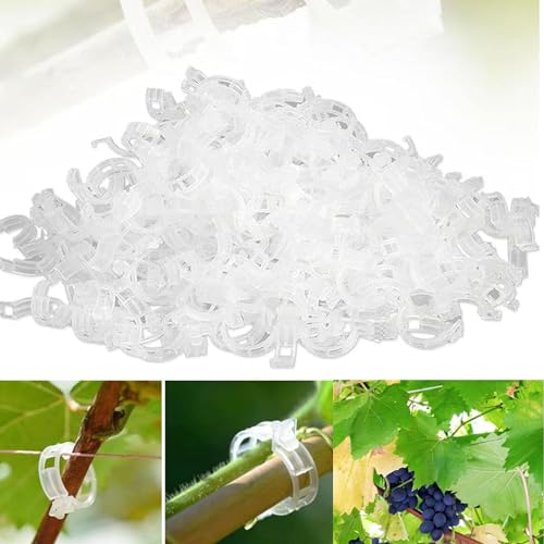 TBLMPNE Plant Support Clips de Jardin Tomate Clips Support... - Jardin & Extérieur Amazon France à 5.99€