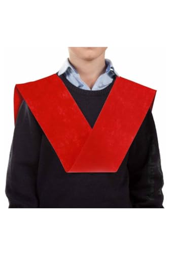 DISBACANAL Beca de graduación 155x10 - Violeta - Jouets & Jeux Amazon Espagne à 1.00€